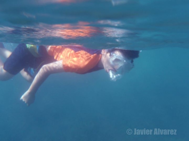  Mergulho com snorkel em Hermosillo 